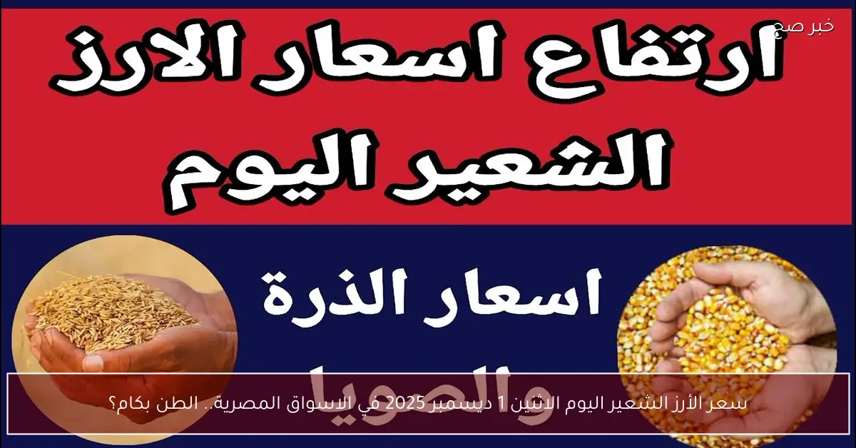 سعر الأرز الشعير اليوم الاثنين 1 ديسمبر 2025 في الاسواق المصرية.. الطن بكام؟