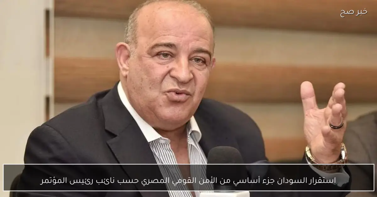 استقرار السودان جزء أساسي من الأمن القومي المصري حسب نائب رئيس المؤتمر