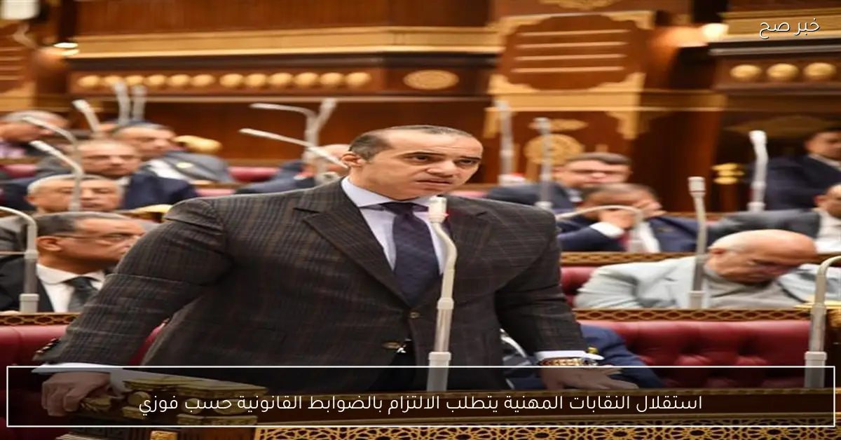 استقلال النقابات المهنية يتطلب الالتزام بالضوابط القانونية حسب فوزي