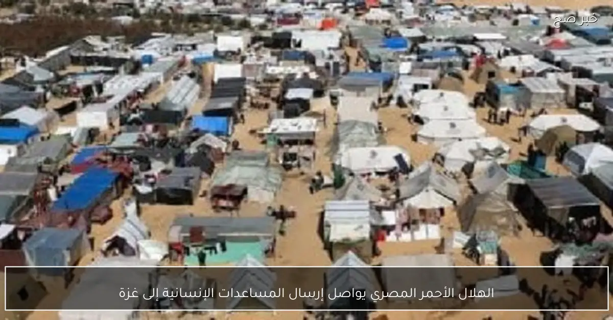 الهلال الأحمر المصري يواصل إرسال المساعدات الإنسانية إلى غزة