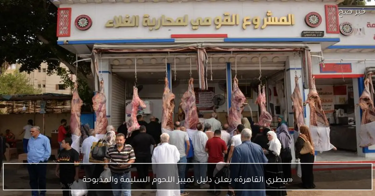«بيطري القاهرة» يعلن دليل تمييز اللحوم السليمة والمذبوحة