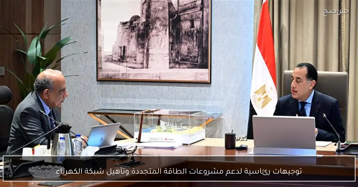 توجيهات رئاسية لدعم مشروعات الطاقة المتجددة وتأهيل شبكة الكهرباء