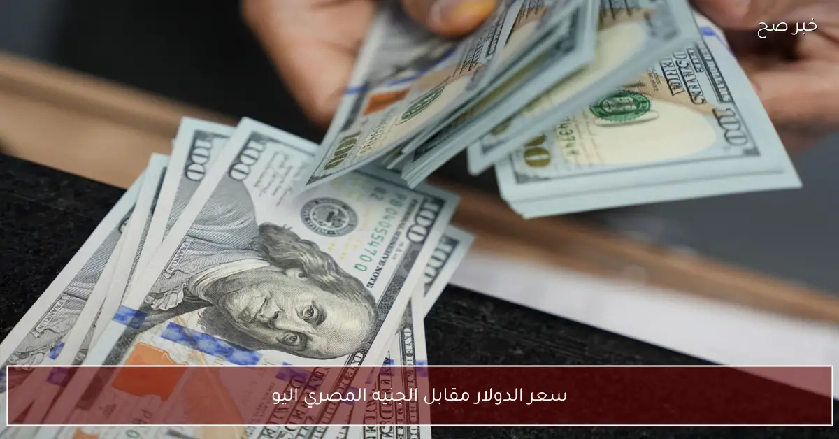تحديث صباحي.. سعر الدولار مقابل الجنيه المصري اليوم الاثنين 1-12-2025 في البنوك والسوق السوداء