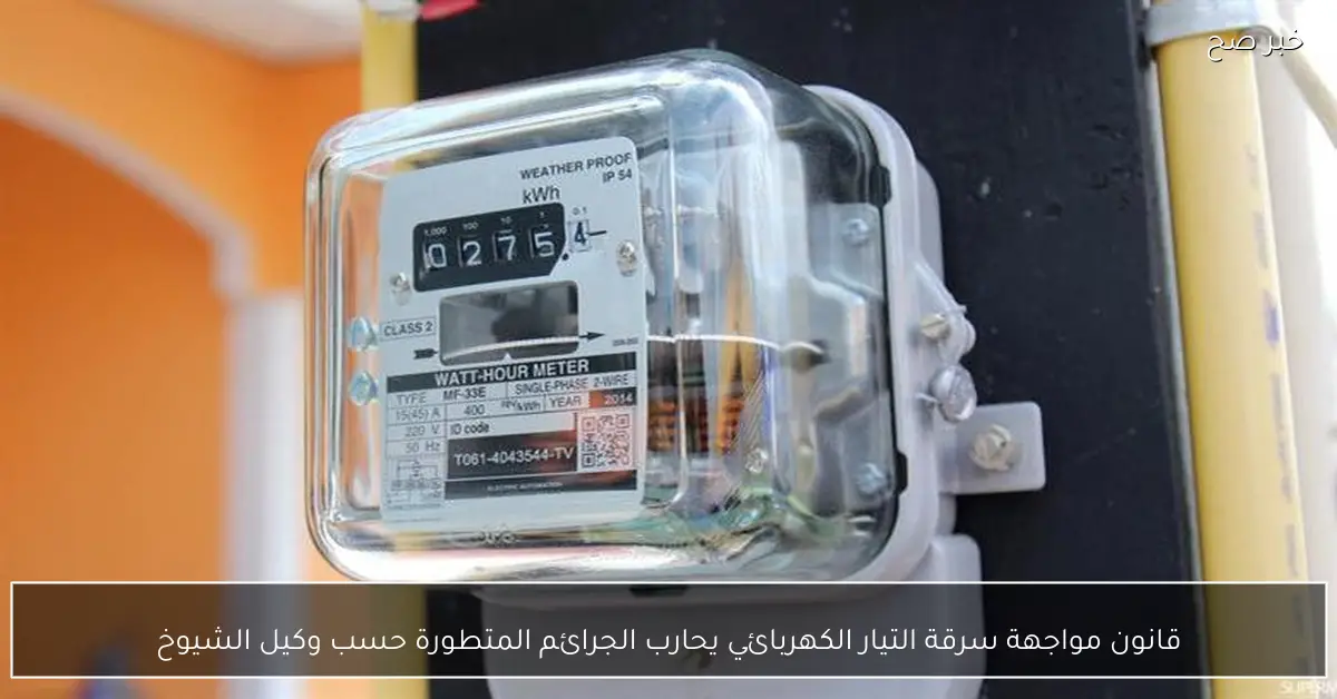 قانون مواجهة سرقة التيار الكهربائي يحارب الجرائم المتطورة حسب وكيل الشيوخ