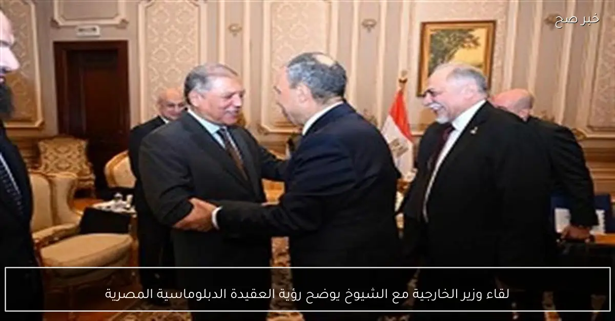 لقاء وزير الخارجية مع الشيوخ يوضح رؤية العقيدة الدبلوماسية المصرية