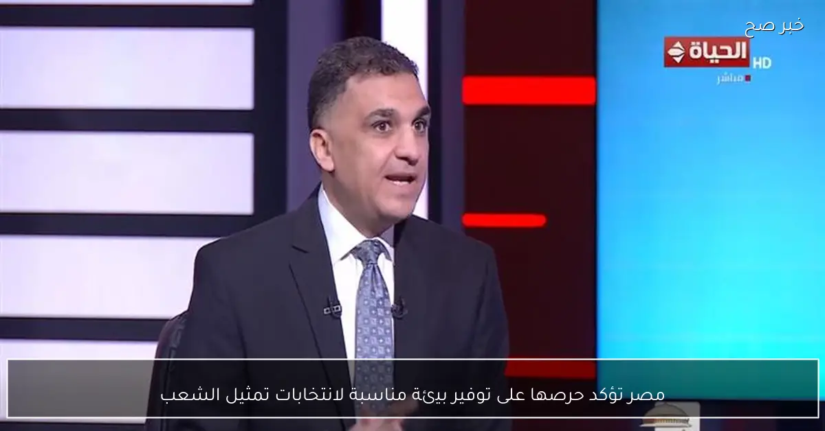 مصر تؤكد حرصها على توفير بيئة مناسبة لانتخابات تمثيل الشعب