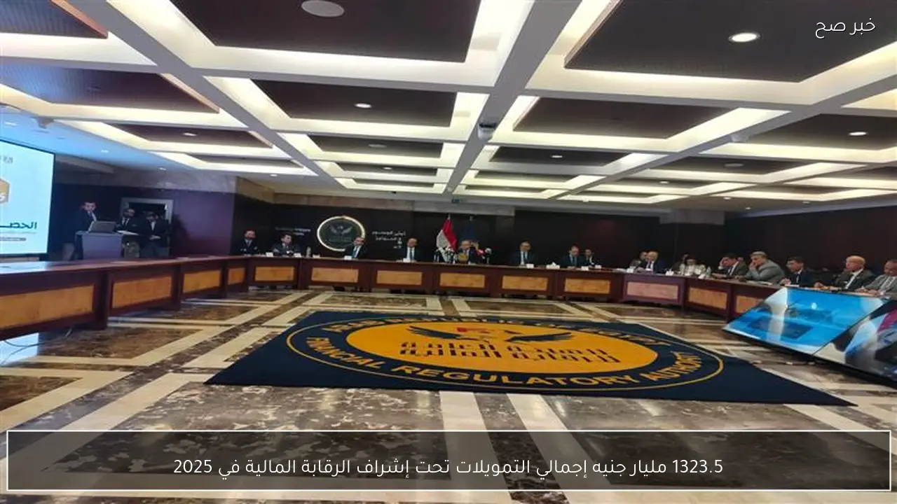 1323.5 مليار جنيه إجمالي التمويلات تحت إشراف الرقابة المالية في 2025