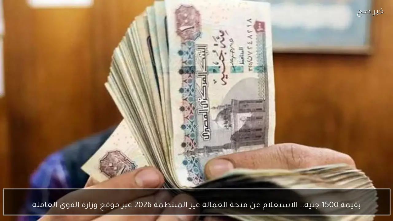 بقيمة 1500 جنيه.. الاستعلام عن منحة العمالة غير المنتظمة 2026 عبر موقع وزارة القوى العاملة