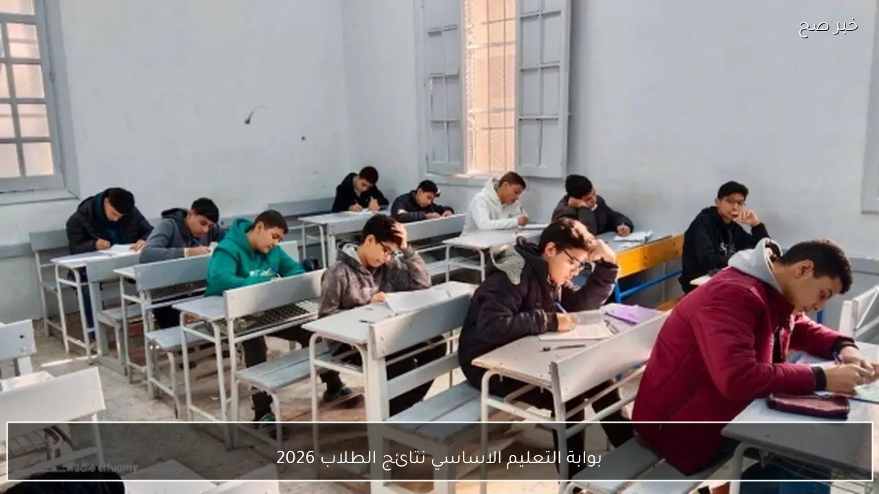رابط بوابة التعليم الاساسي نتائج الطلاب 2026 الترم الاول جميع صفوف النقل برقم الجلوس والاسم