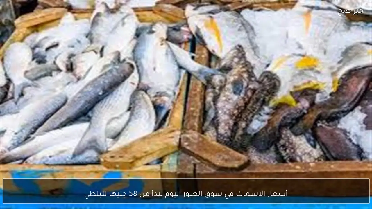 أسعار الأسماك في سوق العبور اليوم تبدأ من 58 جنيها للبلطي
