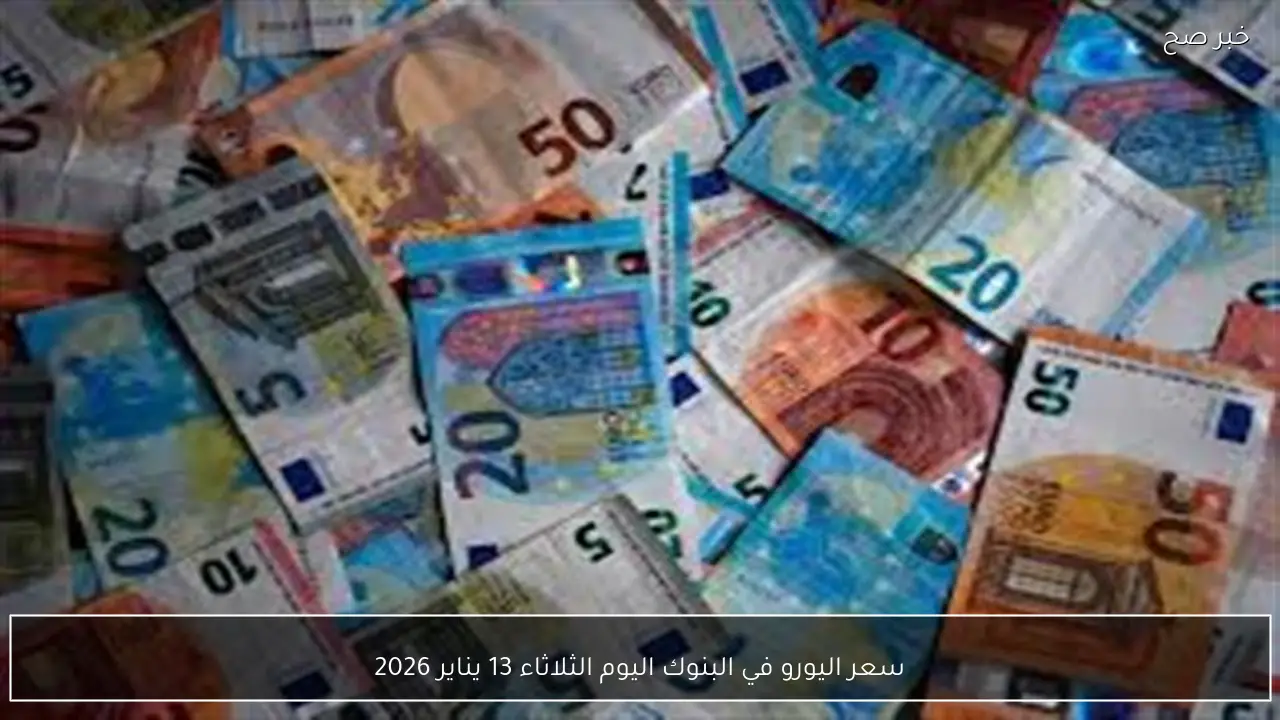 سعر اليورو في البنوك اليوم الثلاثاء 13 يناير 2026