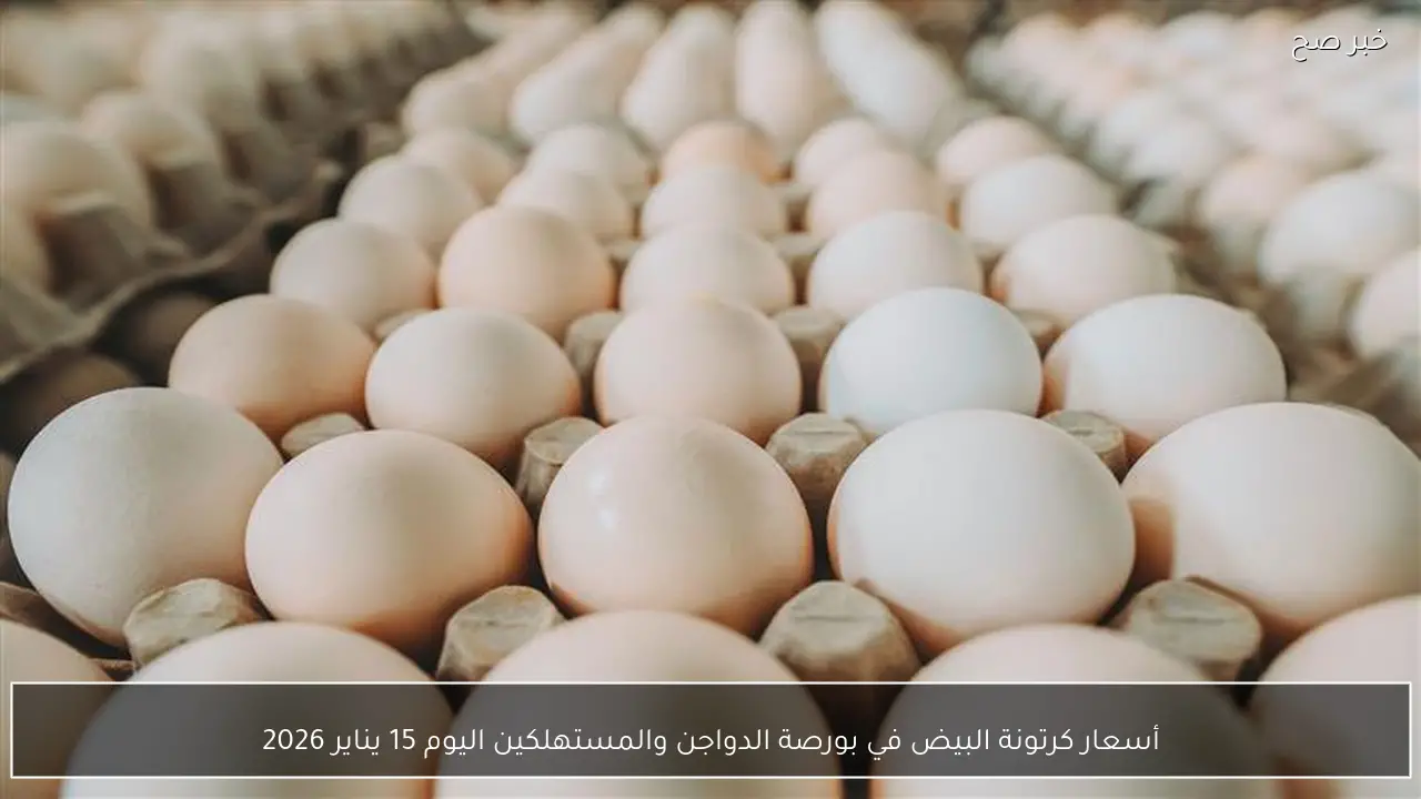 أسعار كرتونة البيض في بورصة الدواجن والمستهلكين اليوم 15 يناير 2026
