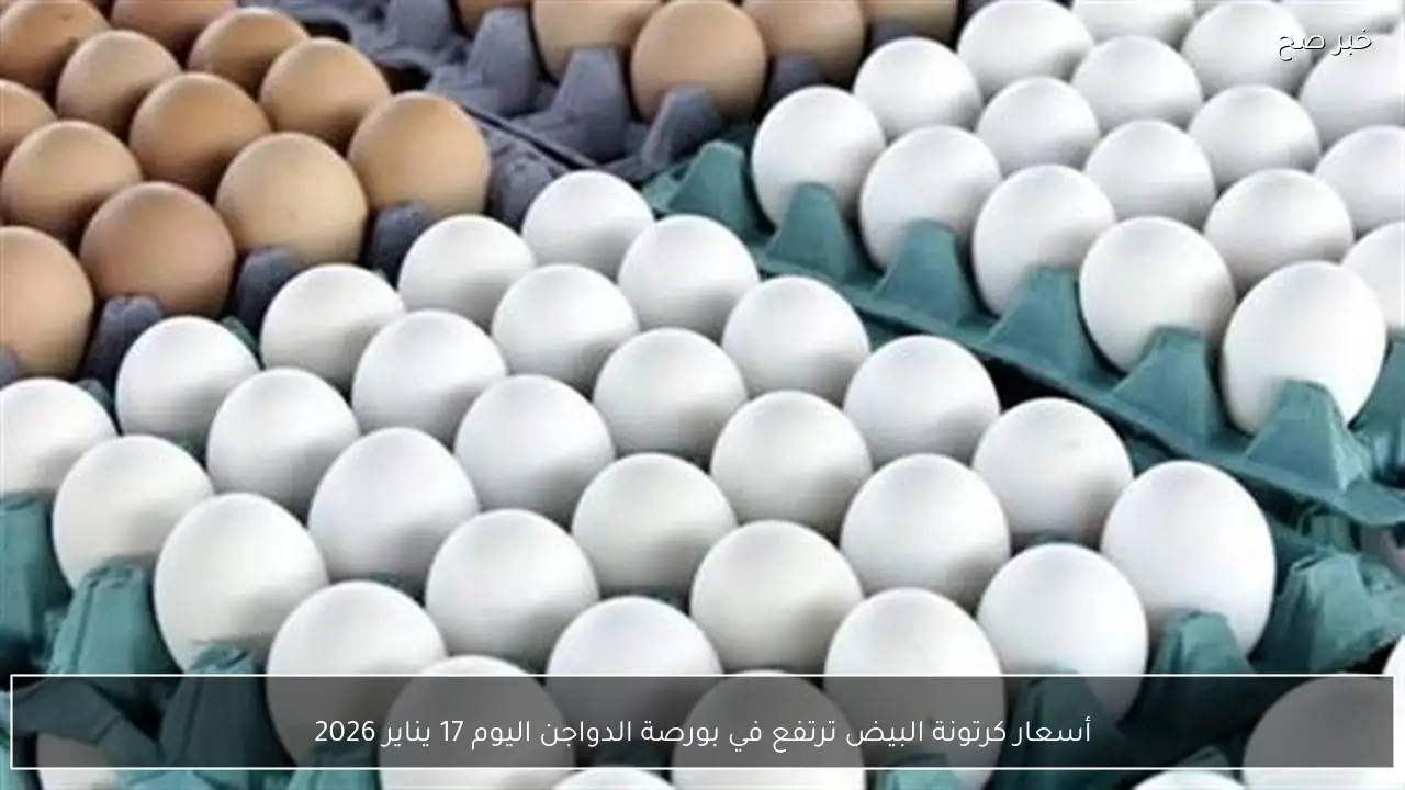 أسعار كرتونة البيض ترتفع في بورصة الدواجن اليوم 17 يناير 2026