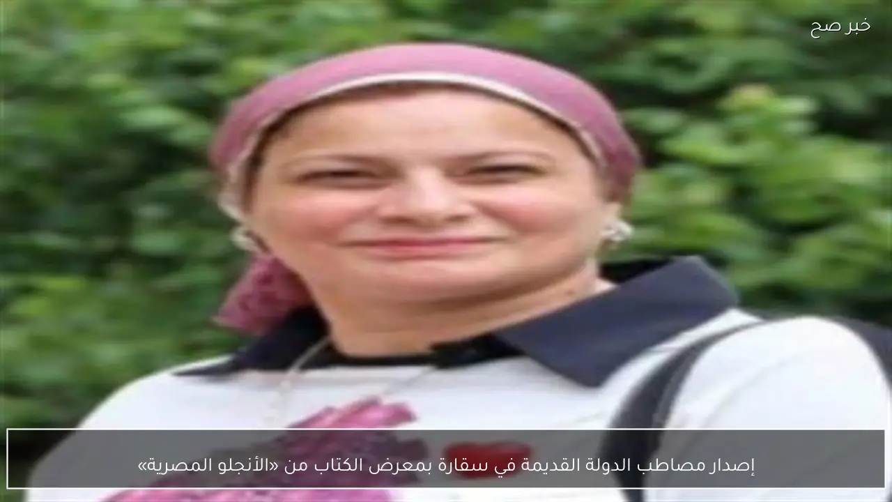 إصدار مصاطب الدولة القديمة في سقارة بمعرض الكتاب من «الأنجلو المصرية»