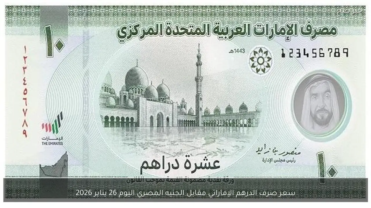 سعر صرف الدرهم الإماراتي مقابل الجنيه المصري اليوم 26 يناير 2026