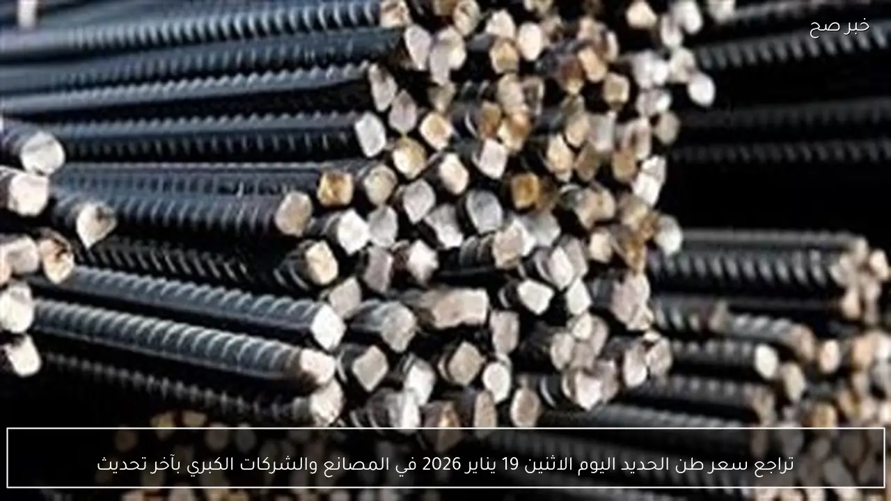 سعر طن الحديد اليوم الاثنين 19 يناير 2026 في المصانع والشركات الكبري بآخر تحديث