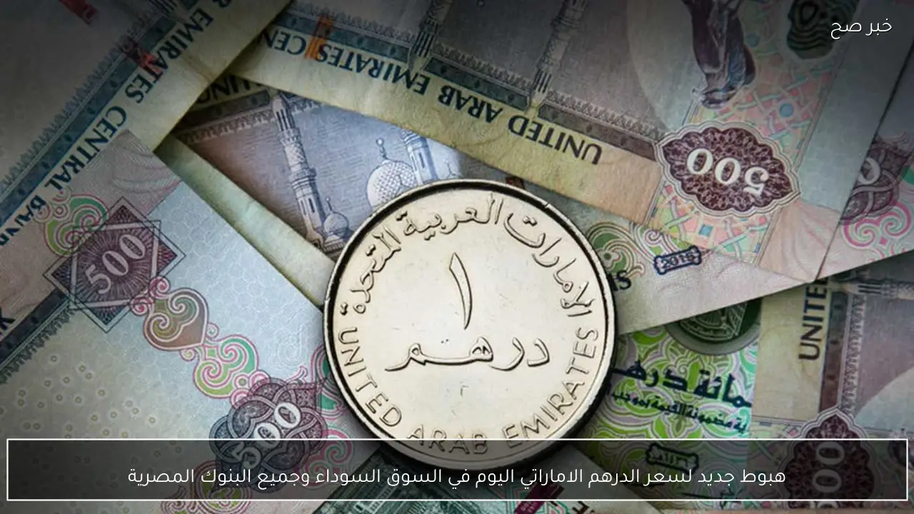 هبوط جديد لسعر الدرهم الاماراتي اليوم في السوق السوداء وجميع البنوك المصرية