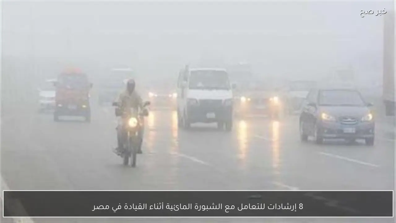 8 إرشادات للتعامل مع الشبورة المائية أثناء القيادة في مصر