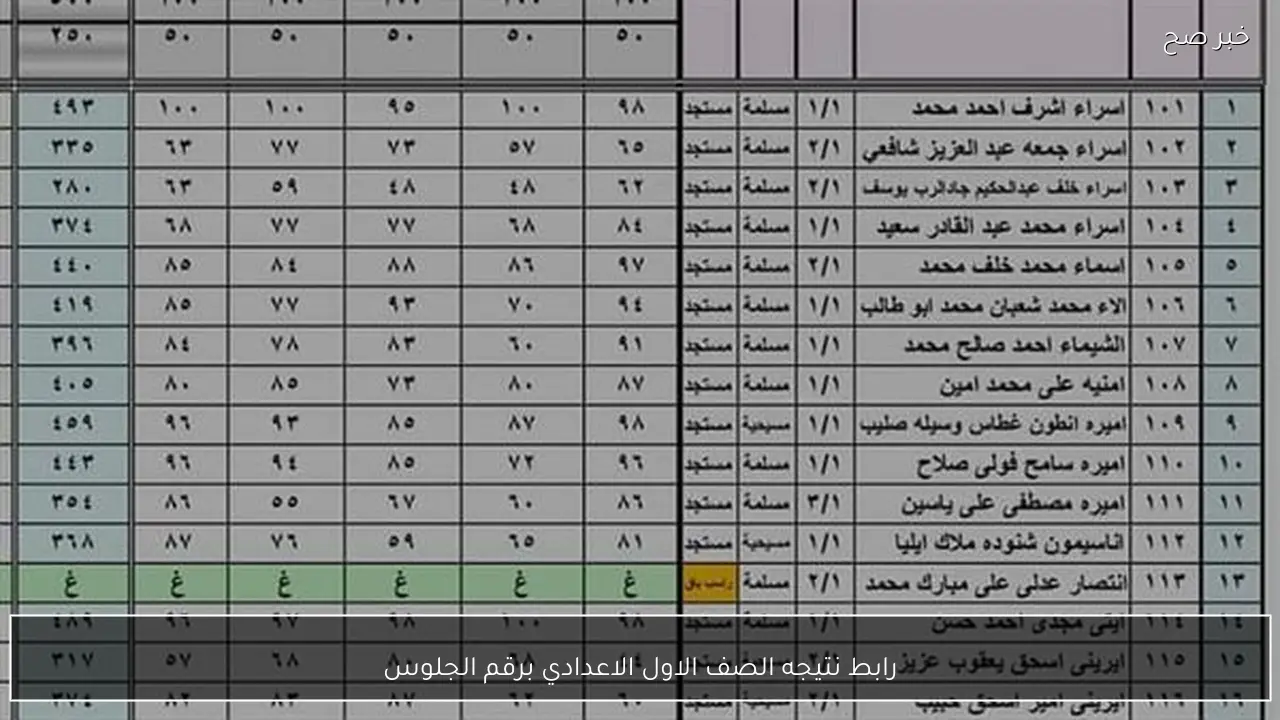 رابط نتيجه الصف الاول الاعدادي برقم الجلوس 2026 الترم الاول عبر eduserv.cairo.gov.eg