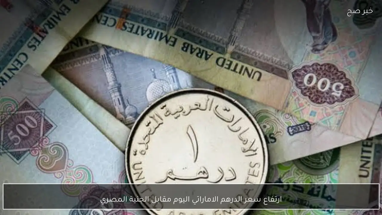 ارتفاع سعر الدرهم الاماراتي اليوم مقابل الجنية المصري.. 100 درهم كم جنية؟