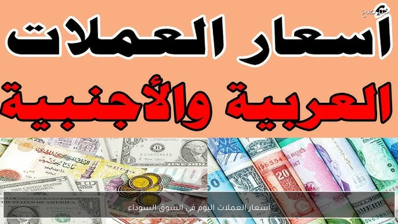 ارتفاع أسعار العملات اليوم في السوق السوداء مقابل الجنية.. تحديث جديد للدولار واليورو