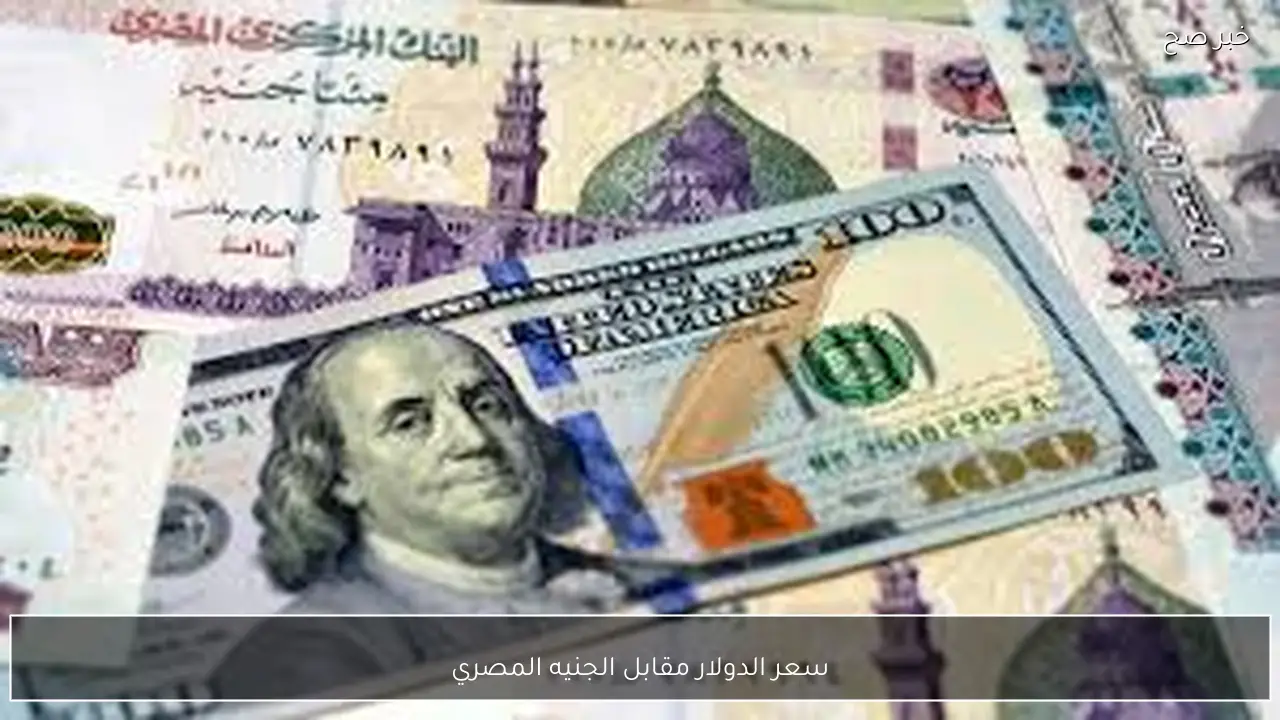 آخر تحديث.. سعر الدولار مقابل الجنيه المصري اليوم 18-1-2026 في البنوك والسوق السوداء