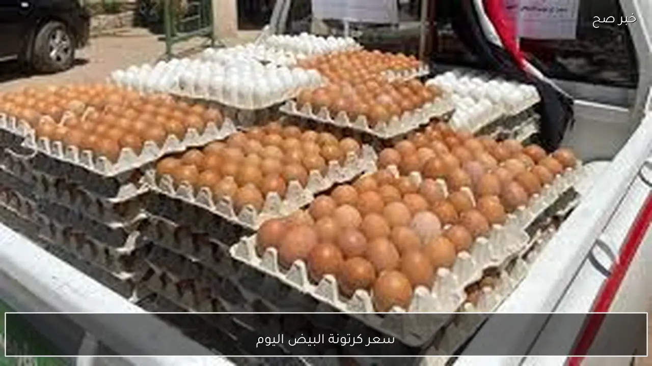 سعر كرتونة البيض اليوم الاحد 25-1-2026 في بورصة الدواجن والاسواق المحلية