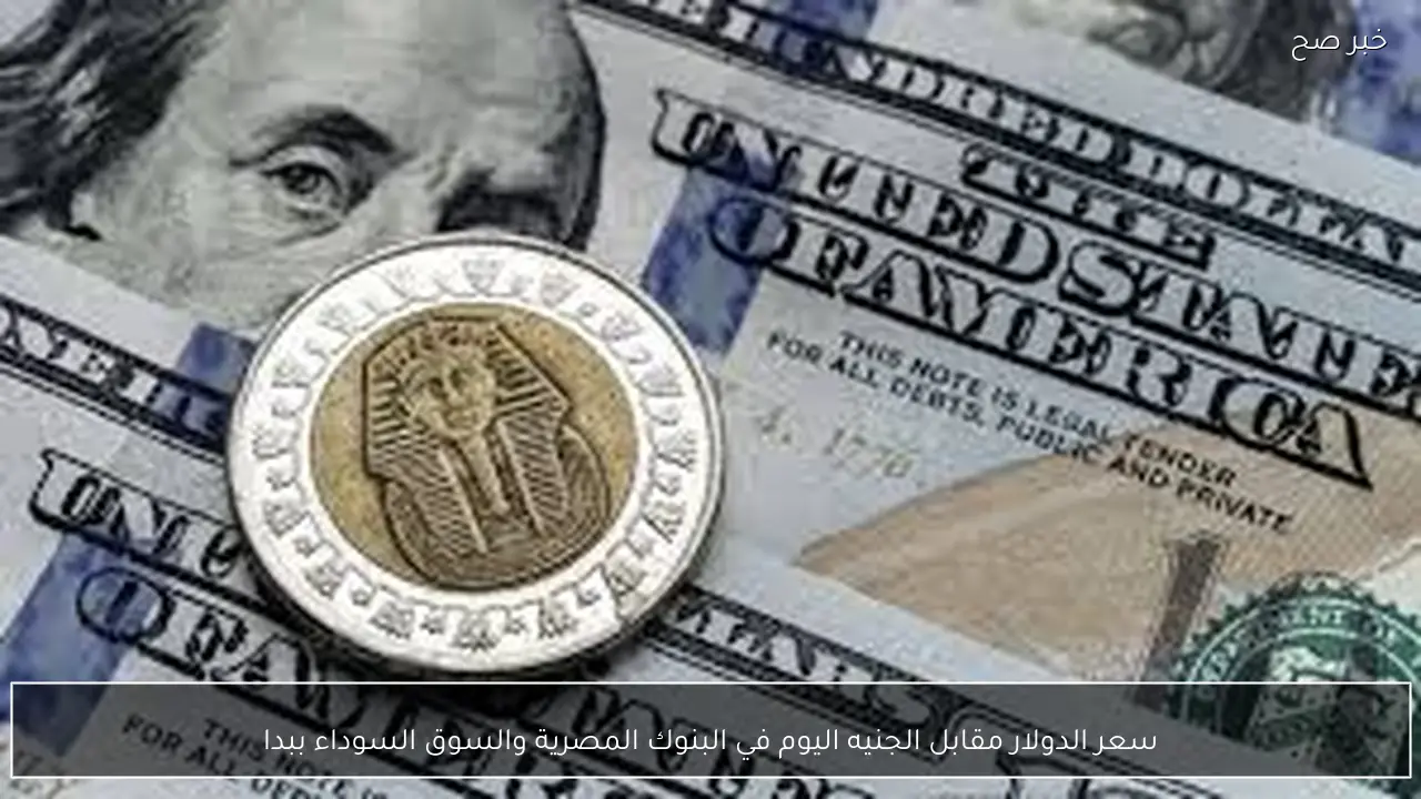 سعر الدولار مقابل الجنيه اليوم في البنوك المصرية والسوق السوداء ببداية التعاملات.. (آخر تحديث)
