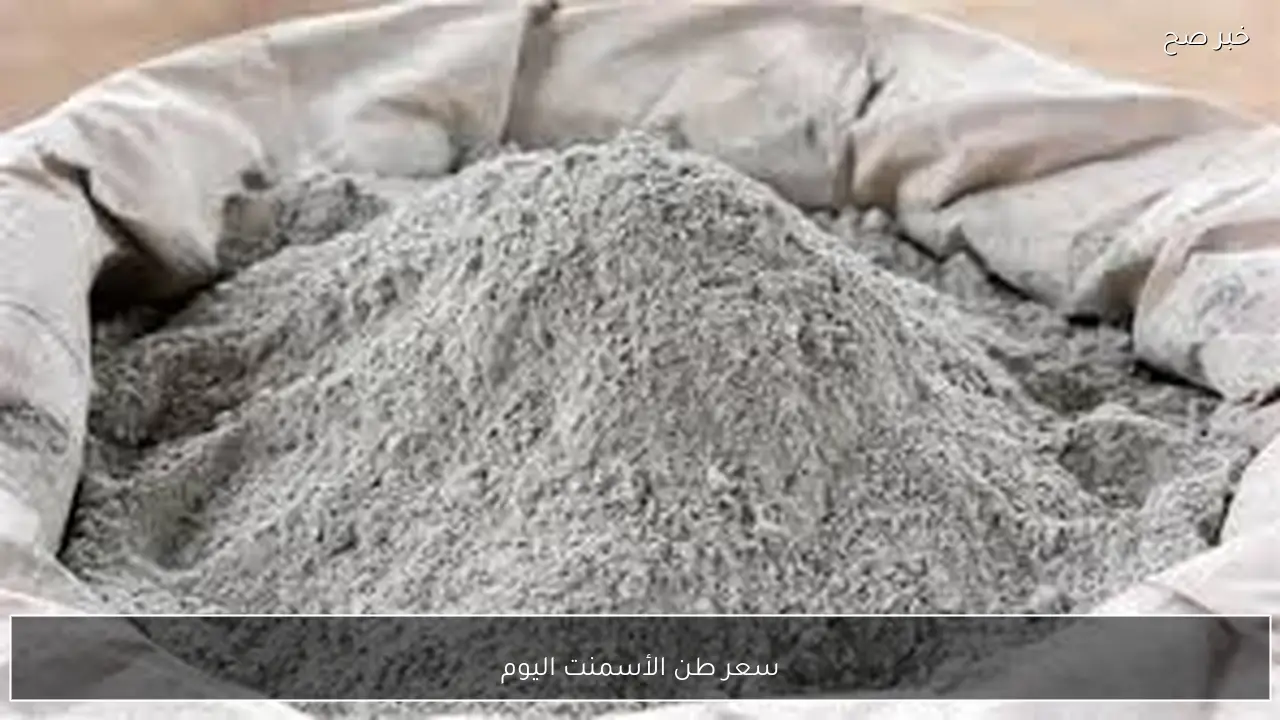 بكام انهاردة؟.. سعر طن الأسمنت اليوم الثلاثاء 27 يناير 2026 بالمصانع والشركات بآخر تحديث