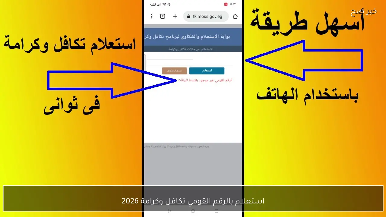 استعلام بالرقم القومي تكافل وكرامة 2026 عبر موقع وزارة التضامن الاجتماعي tk.moss.gov.eg