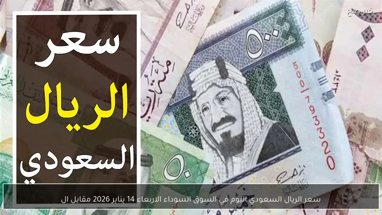 سعر الريال السعودي اليوم في السوق السوداء الأربعاء 14 يناير 2026 مقابل الجنية