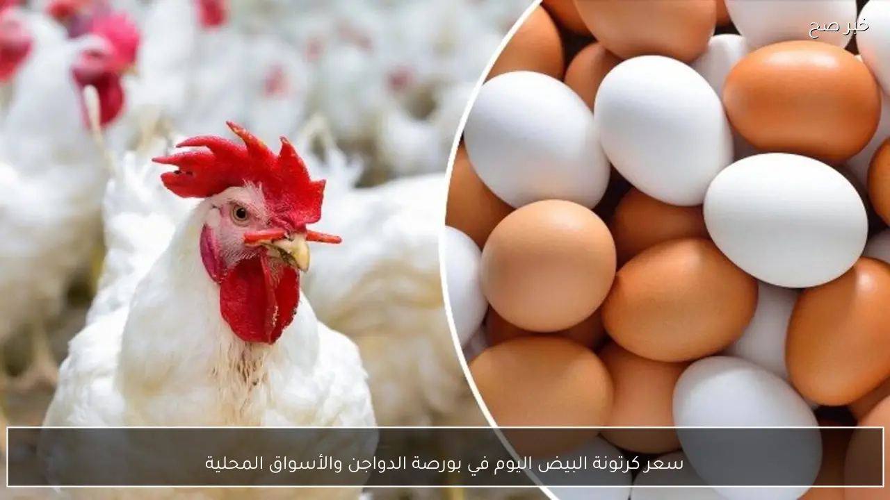 (احمر وابيض وبدي).. سعر كرتونة البيض اليوم في بورصة الدواجن والأسواق المحلية