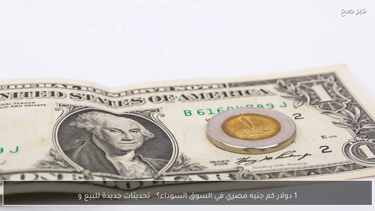 1 دولار كم جنيه مصري في السوق السوداء؟.. تحديثات جديدة للبيع والشراء