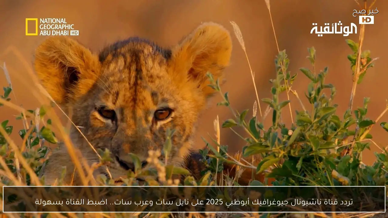 تردد قناة ناشيونال جيوغرافيك أبوظبي 2025 على نايل سات وعرب سات.. اضبط القناة بسهولة