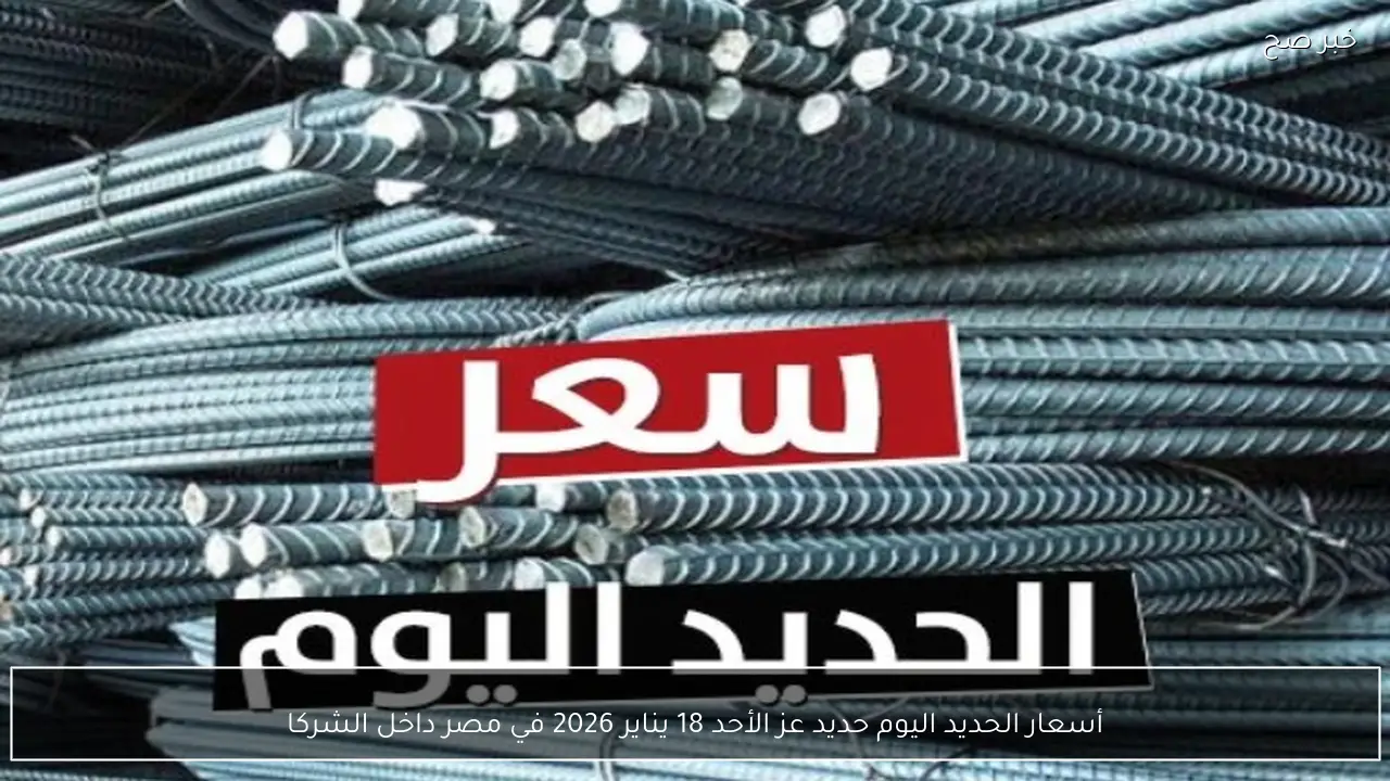 أسعار الحديد اليوم حديد عز الأحد 18 يناير 2026 في مصر داخل سوق مواد البناء