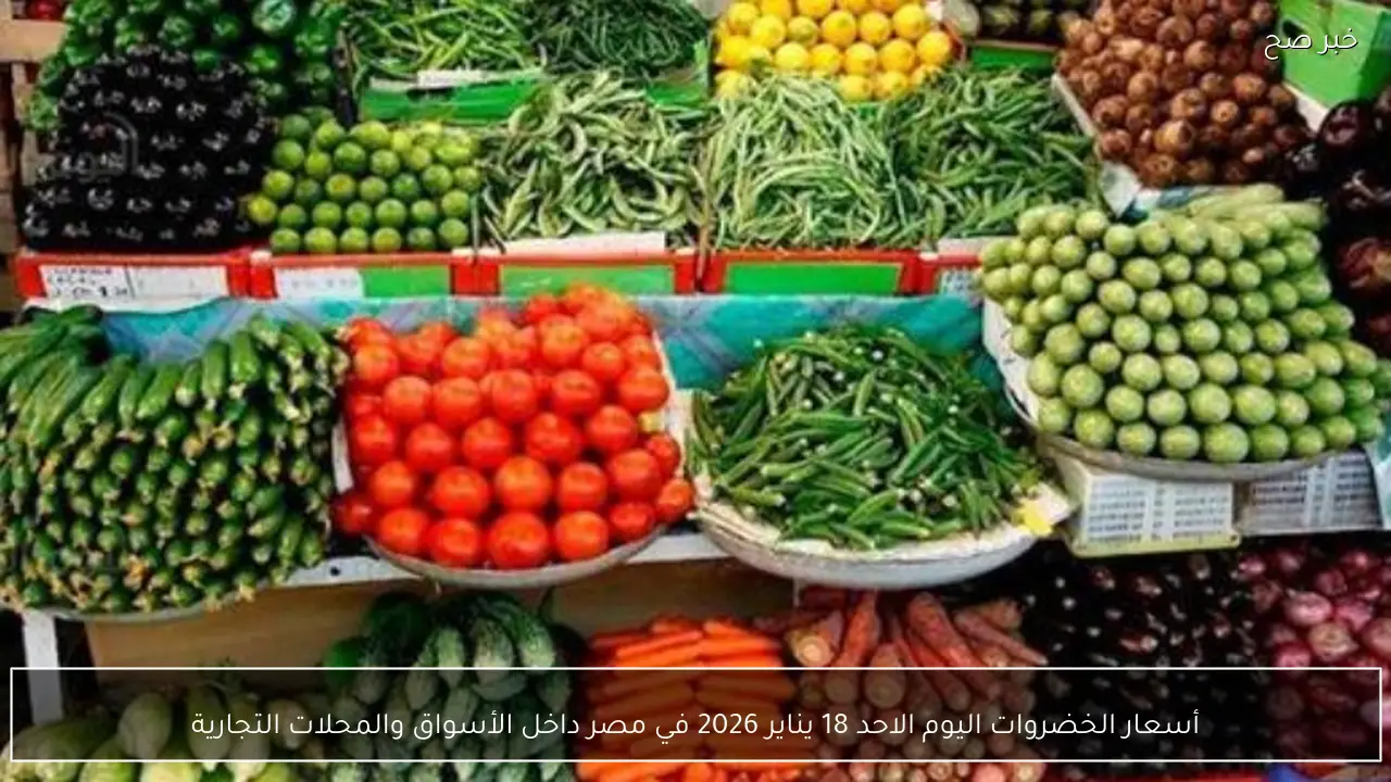 أسعار الخضروات اليوم الاحد 18 يناير 2026 في مصر داخل الأسواق والمحلات التجارية