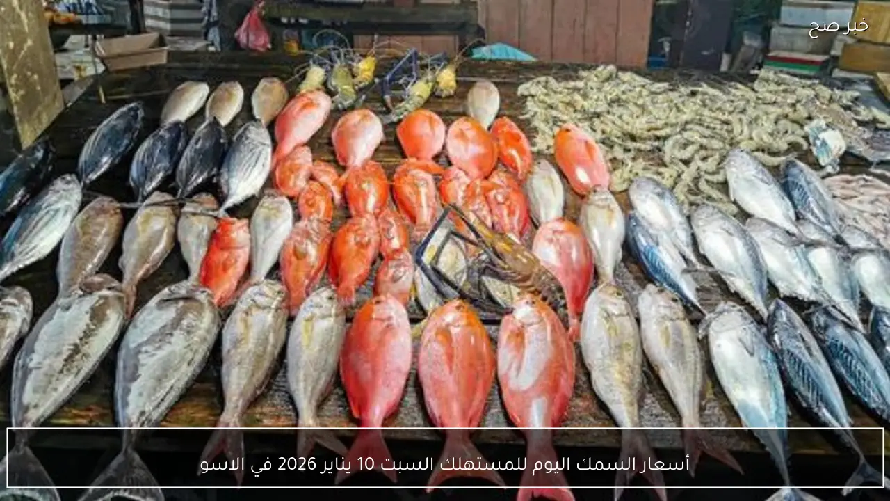أسعار السمك اليوم للمستهلك السبت 10 يناير 2026 في الأسواق والمحلات التجارية