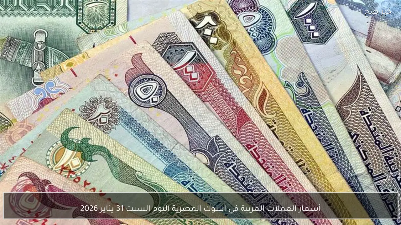 أسعار العملات العربية في البنوك المصرية اليوم السبت 31 يناير 2026