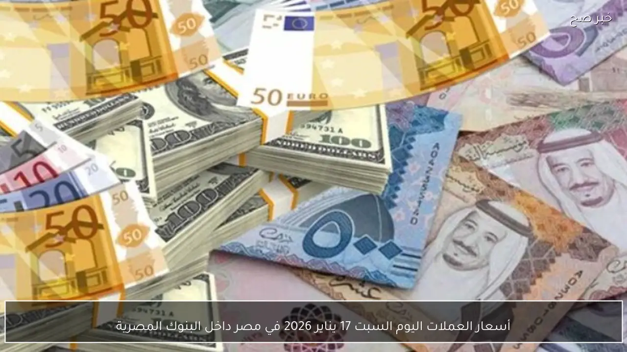 أسعار العملات اليوم السبت 17 يناير 2026 في مصر داخل البنوك المصرية