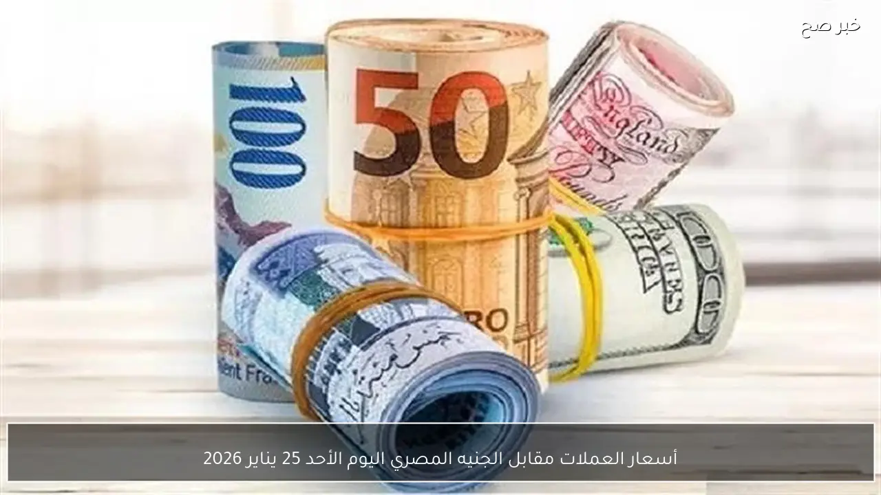 أسعار العملات مقابل الجنيه المصري اليوم الأحد 25 يناير 2026
