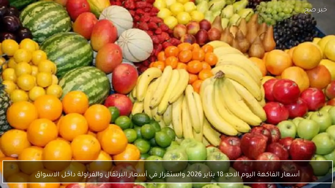أسعار الفاكهة اليوم الاحد 18 يناير 2026 واستقرار في أسعار البرتقال والفراولة داخل الاسواق