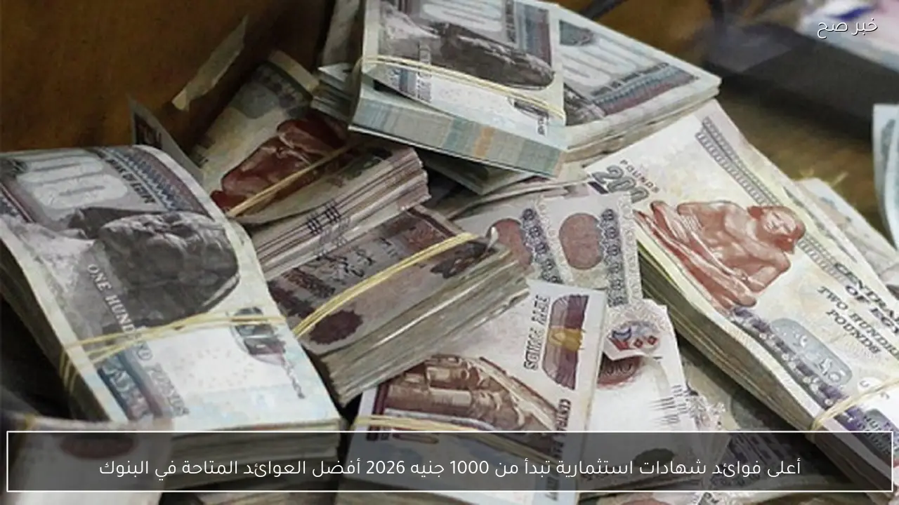 أعلى فوائد شهادات استثمارية تبدأ من 1000 جنيه 2026 أفضل العوائد المتاحة في البنوك