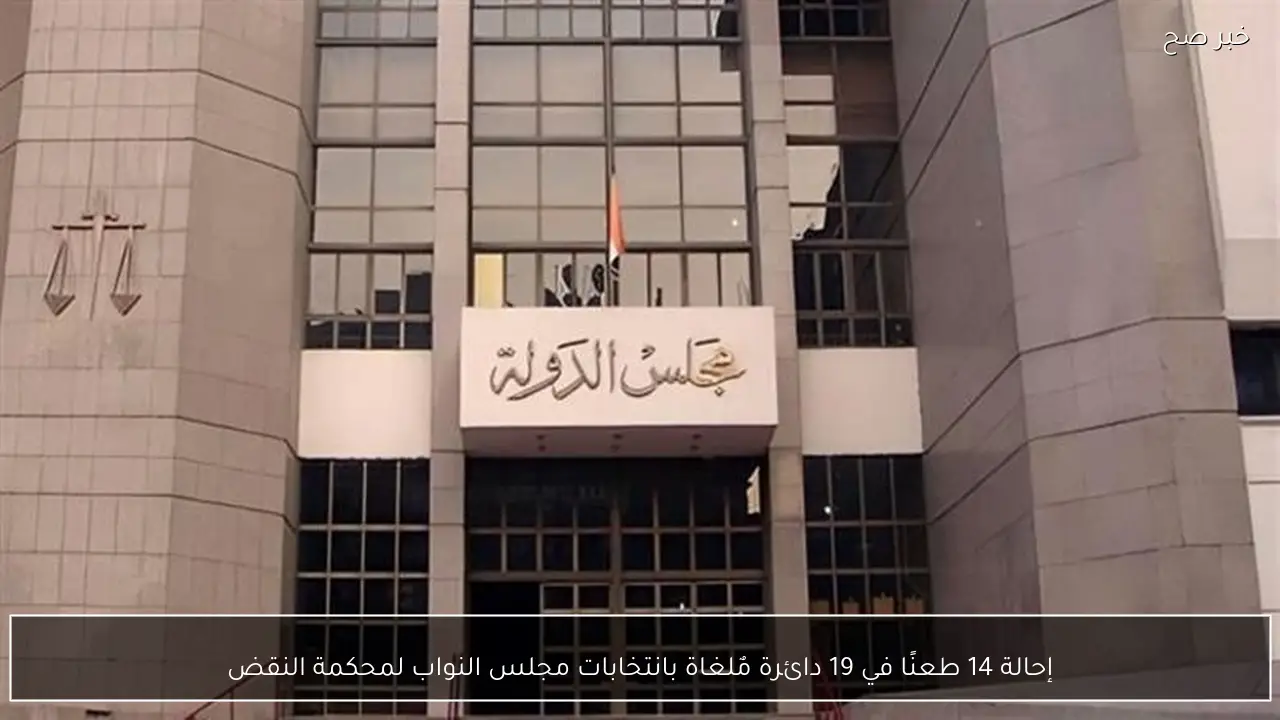 إحالة 14 طعنًا في 19 دائرة مٌلغاة بانتخابات مجلس النواب لمحكمة النقض