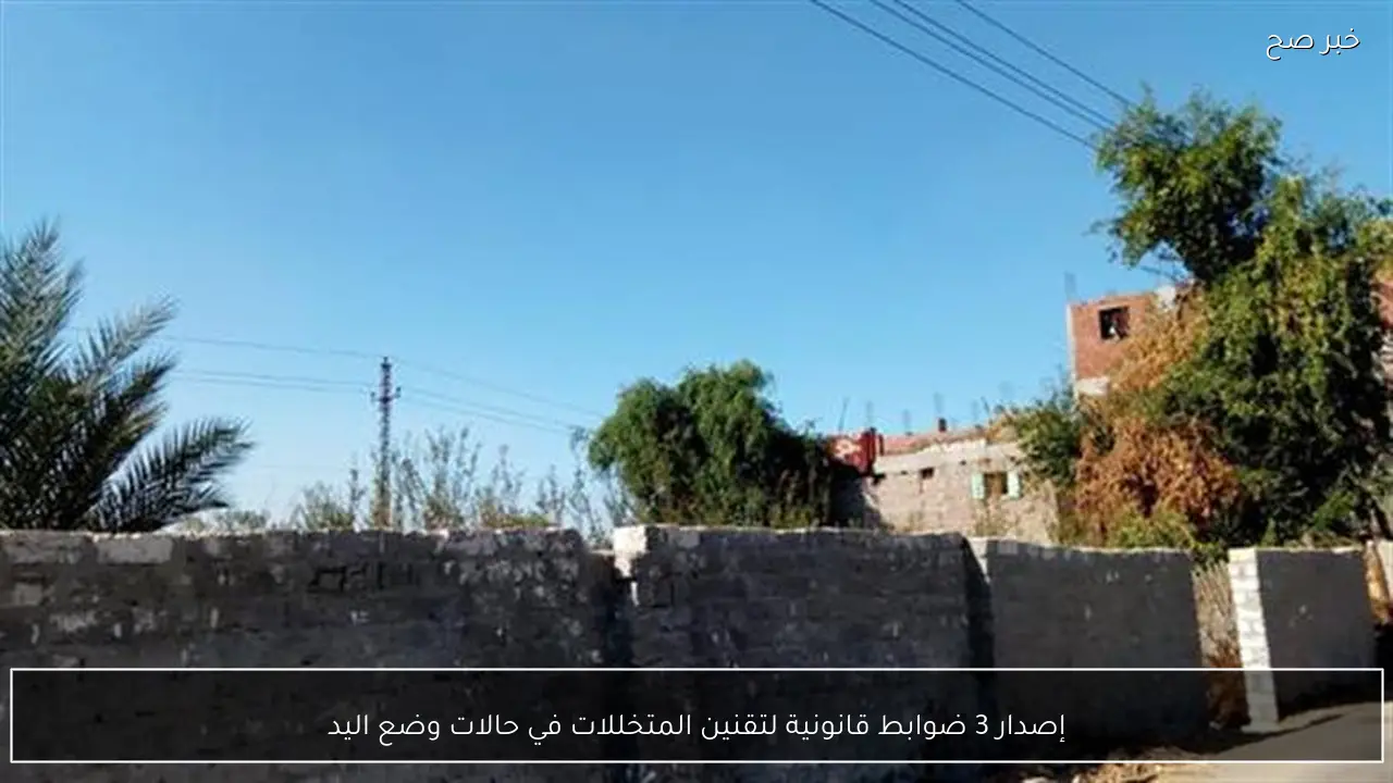 إصدار 3 ضوابط قانونية لتقنين المتخللات في حالات وضع اليد