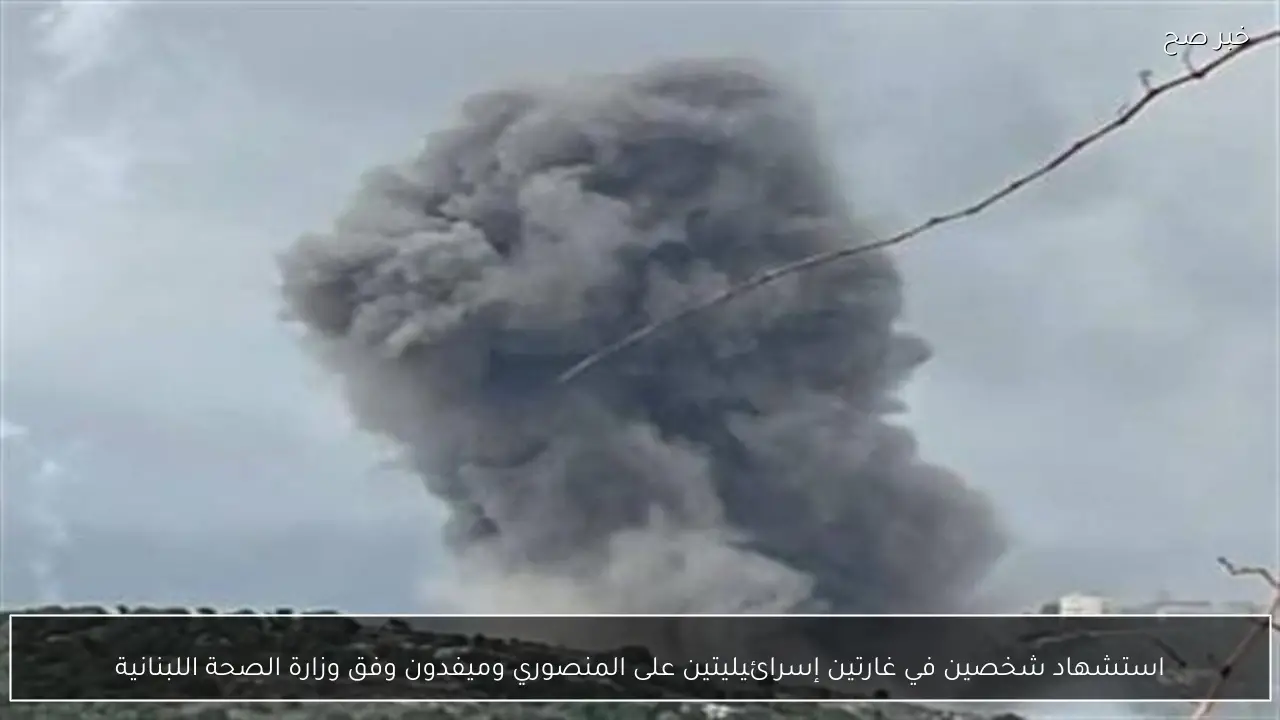 استشهاد شخصين في غارتين إسرائيليتين على المنصوري وميفدون وفق وزارة الصحة اللبنانية