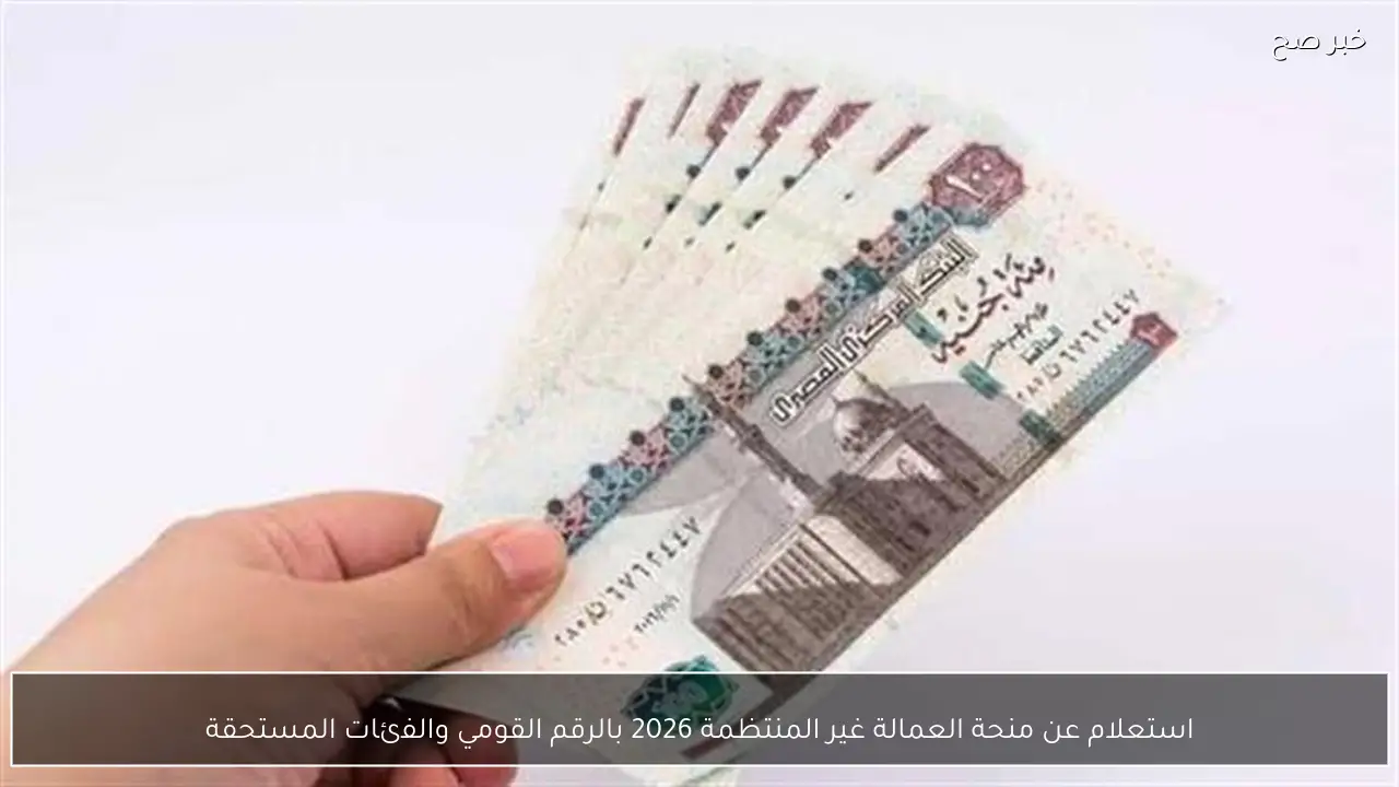 استعلام عن منحة العمالة غير المنتظمة 2026 بالرقم القومي والفئات المستحقة