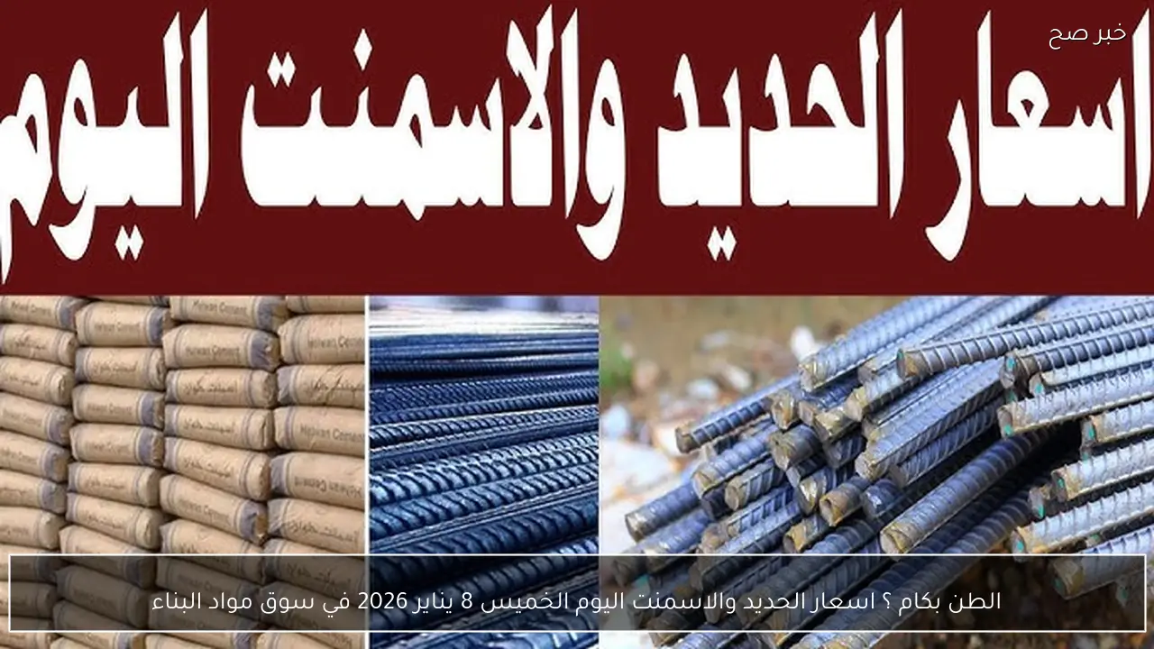 الطن بكام ؟ اسعار الحديد والاسمنت اليوم الخميس 8 يناير 2026 في سوق مواد البناء