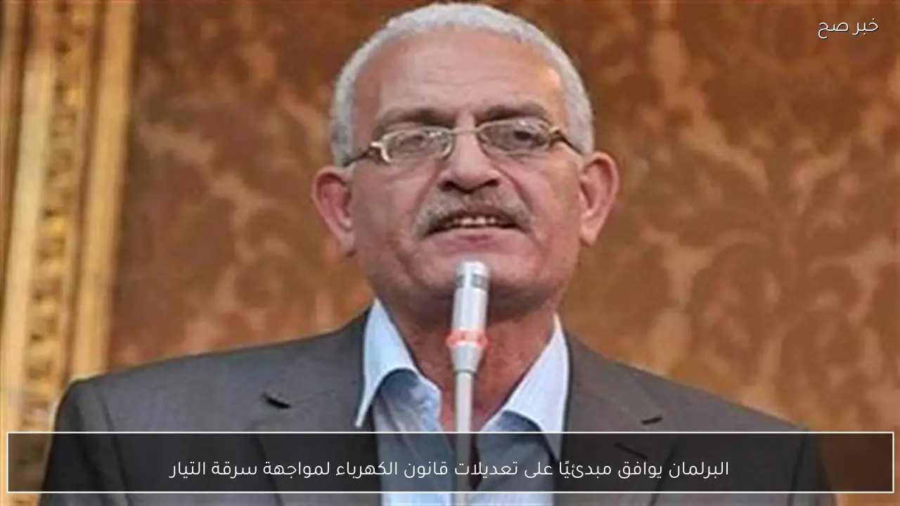 البرلمان يوافق مبدئيًا على تعديلات قانون الكهرباء لمواجهة سرقة التيار