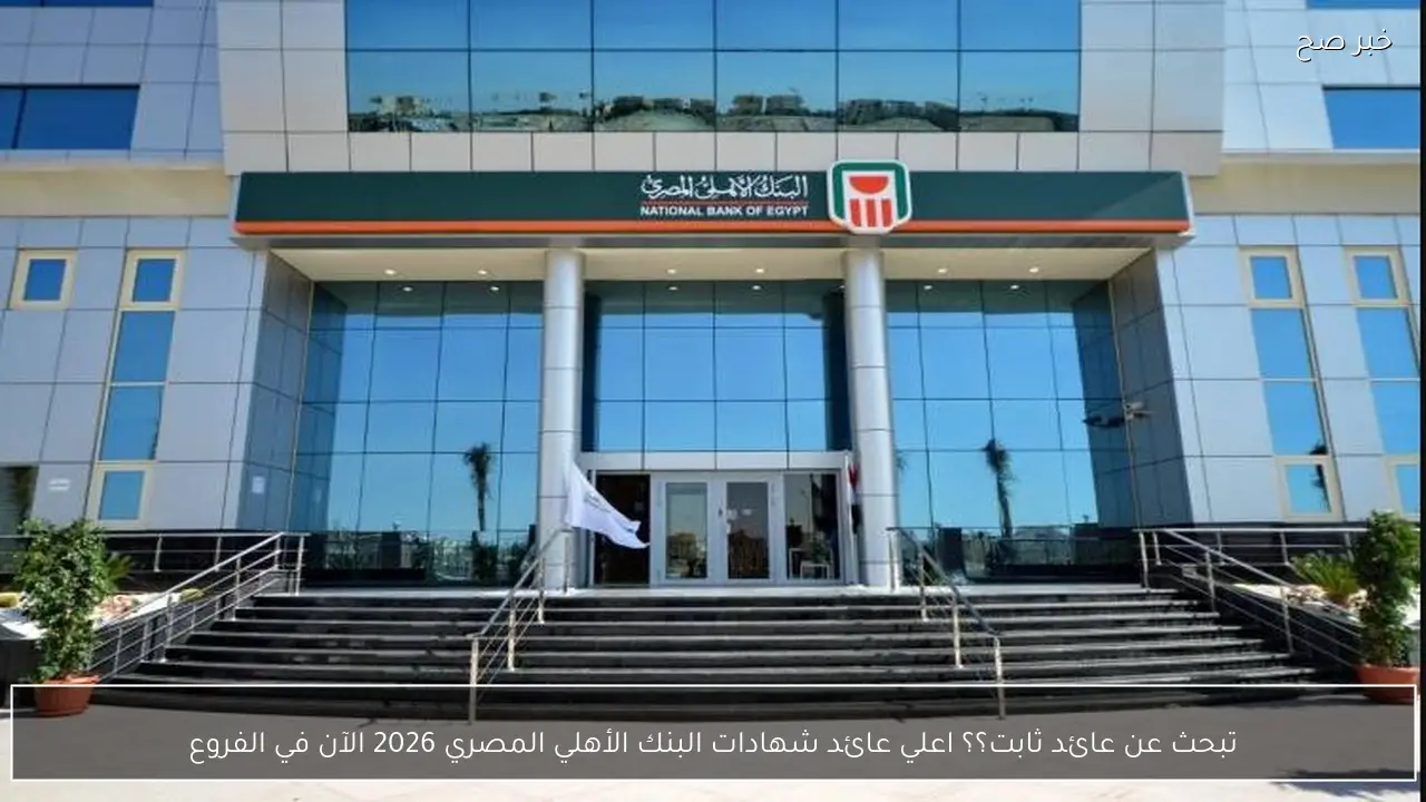 تبحث عن عائد ثابت؟؟ اعلي عائد شهادات البنك الأهلي المصري 2026 الآن في الفروع