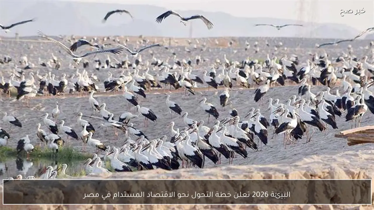 البيئة 2026 تعلن خطة التحول نحو الاقتصاد المستدام في مصر